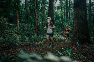 BIB: 
                            <button type="button" onclick="openModal(26065831)" class="btn btn-primary btn-sm float-right btn-popup" data-toggle="modal" data-target=".modal-high-quality">
                        <i class="fas fa-shopping-cart"></i> Add to Cart
                    </button>
                                            <button type="button" onclick="isThisMe(26065831, true)" class="btn btn-success btn-sm float-right btn-popup btn-isme hidden" data-toggle="tooltip" data-placement="bottom" title="นี่คือรูปของคุณใช่ไหม คลิกที่นี่เพื่อเอาเข้าอัลบั้ม">
                        <i class="fas fa-plus"></i> Add to album
                    </button>
                    <button type="button" onclick="isThisMe(26065831, false)" class="btn btn-warning btn-sm float-right btn-popup btn-isnotme hidden">
                        <i class="fas fa-ban"></i> Remove from album
                    </button>